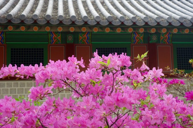 Palais de CHANGDEOK à Séoul