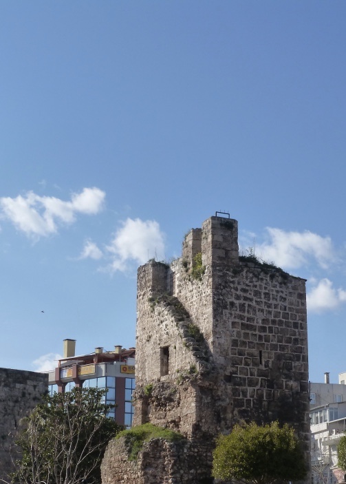 thumb_thumb_P1040081_1024_1024