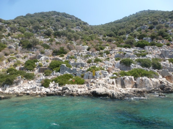 thumb_thumb_P1090596_1024_1024