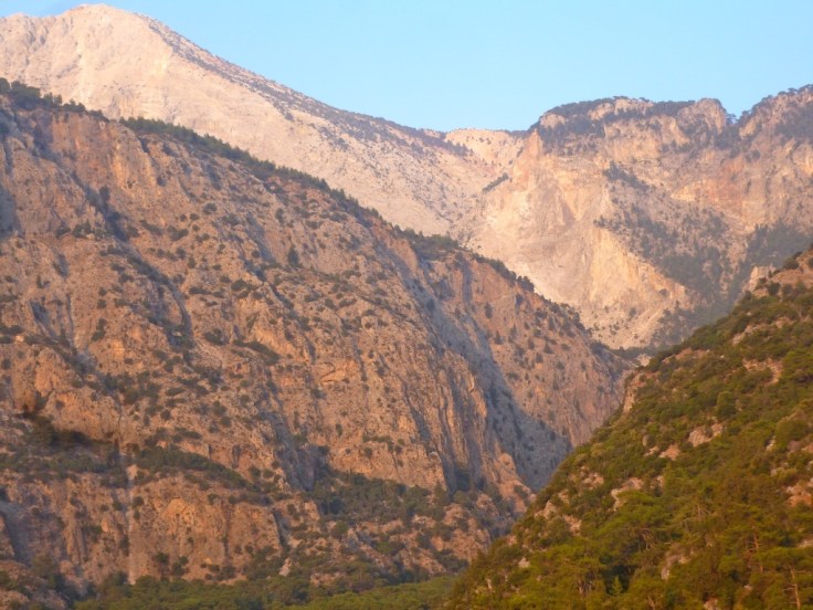 thumb_thumb_P1090760_1024_1024