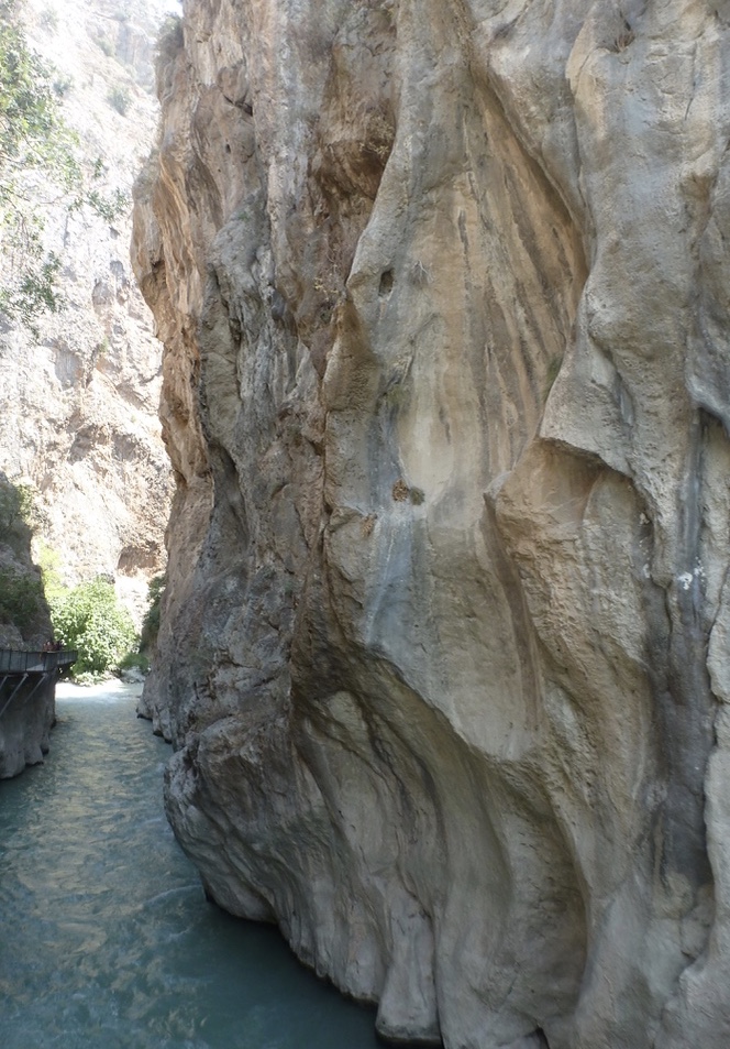 thumb_thumb_P1090854_1024_1024