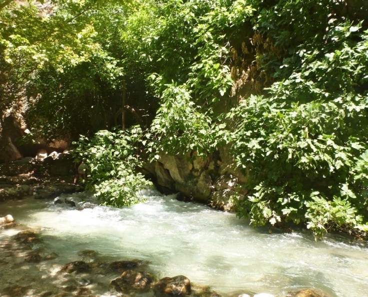 thumb_thumb_P1090868_1024_1024