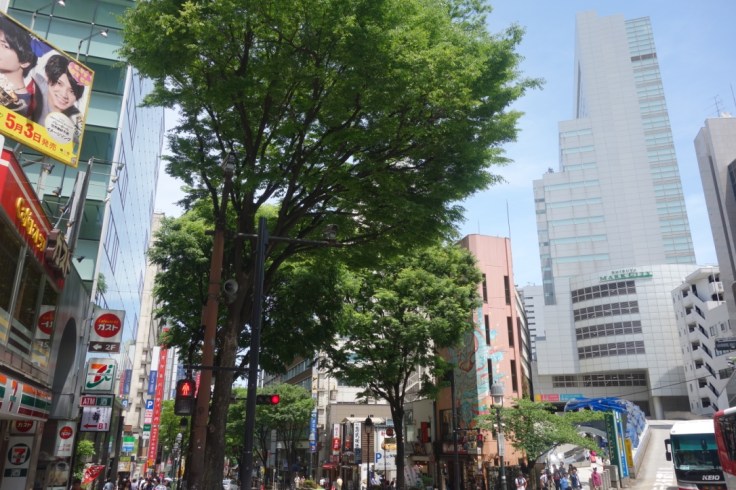 Trois jours à Tokyo