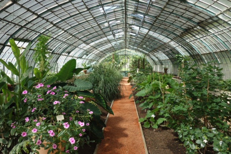 Visiter le jardin des serres d'Auteuil