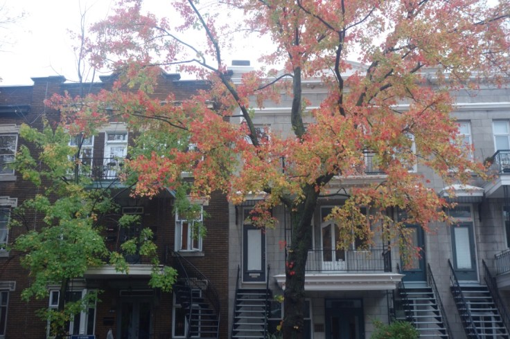 48 heures à Montréal