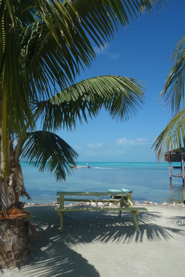 Caye Caulker