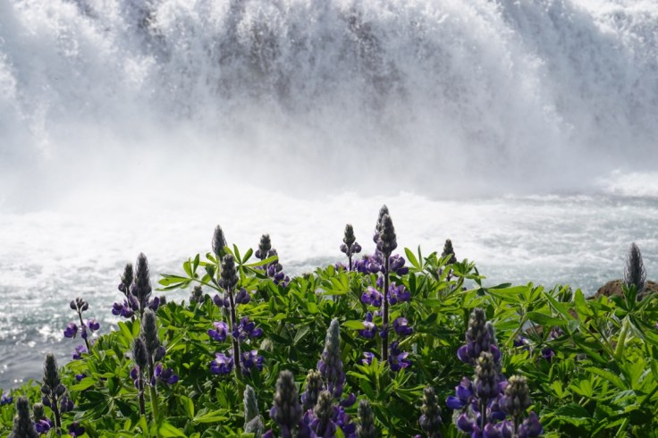 Une journée dans le Cercle d'Or islandais