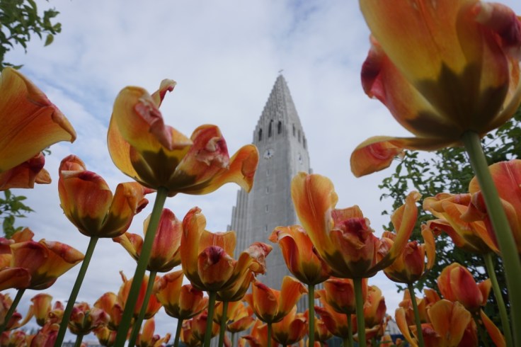 thumb_DSC03706_1024Une journée à Reykjavik