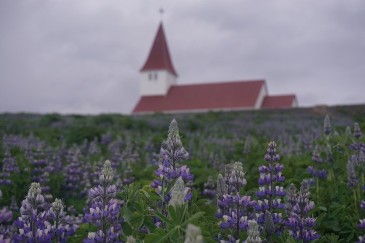 Les plages de sable noir islandaises