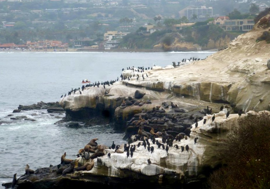 thumb_1004490_10201373968498566_1163288792_n_1024