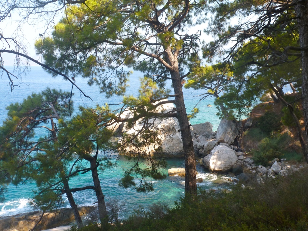 thumb_thumb_P1090788_1024_1024