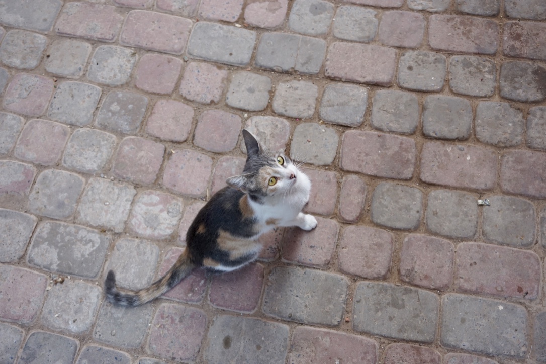 thumb_DSC06500_1024