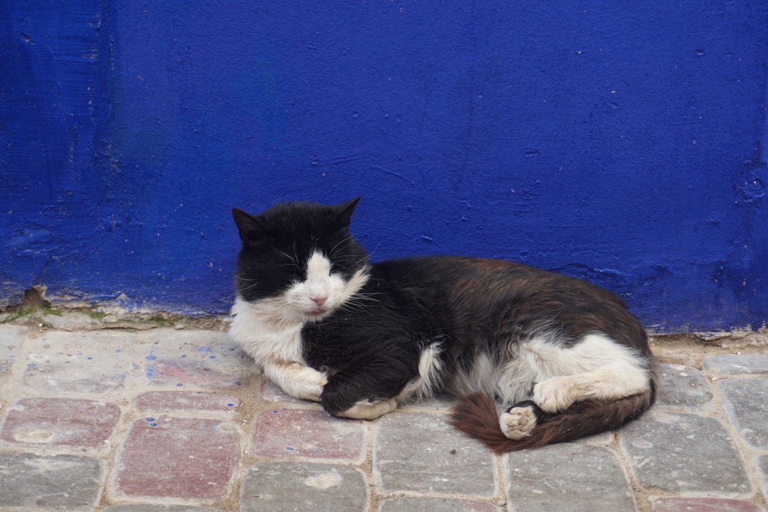 thumb_DSC06517_1024