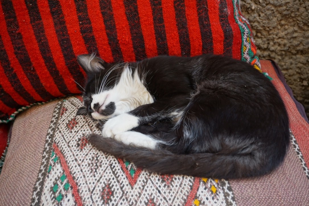 thumb_DSC06860_1024
