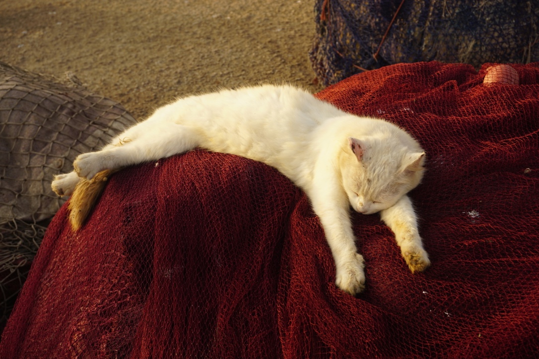 thumb_DSC06907_1024