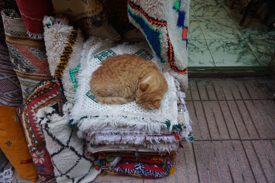 thumb_DSC06913_1024