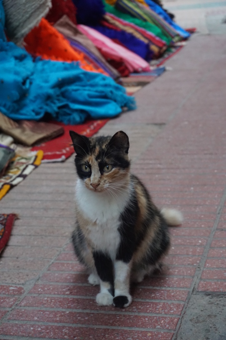 thumb_DSC06914_1024