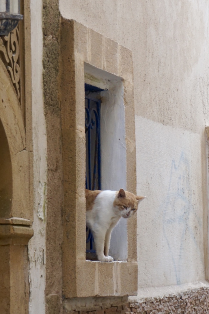 thumb_DSC07021_1024