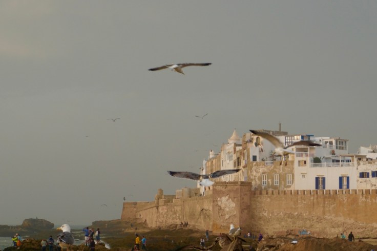 Visiter Essaouira