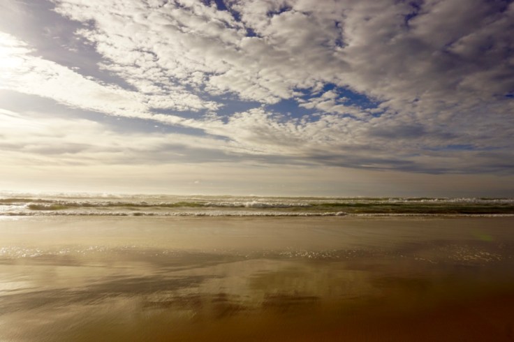thumb_DSC09354_1024Quitter la région parisienne pour les Landes