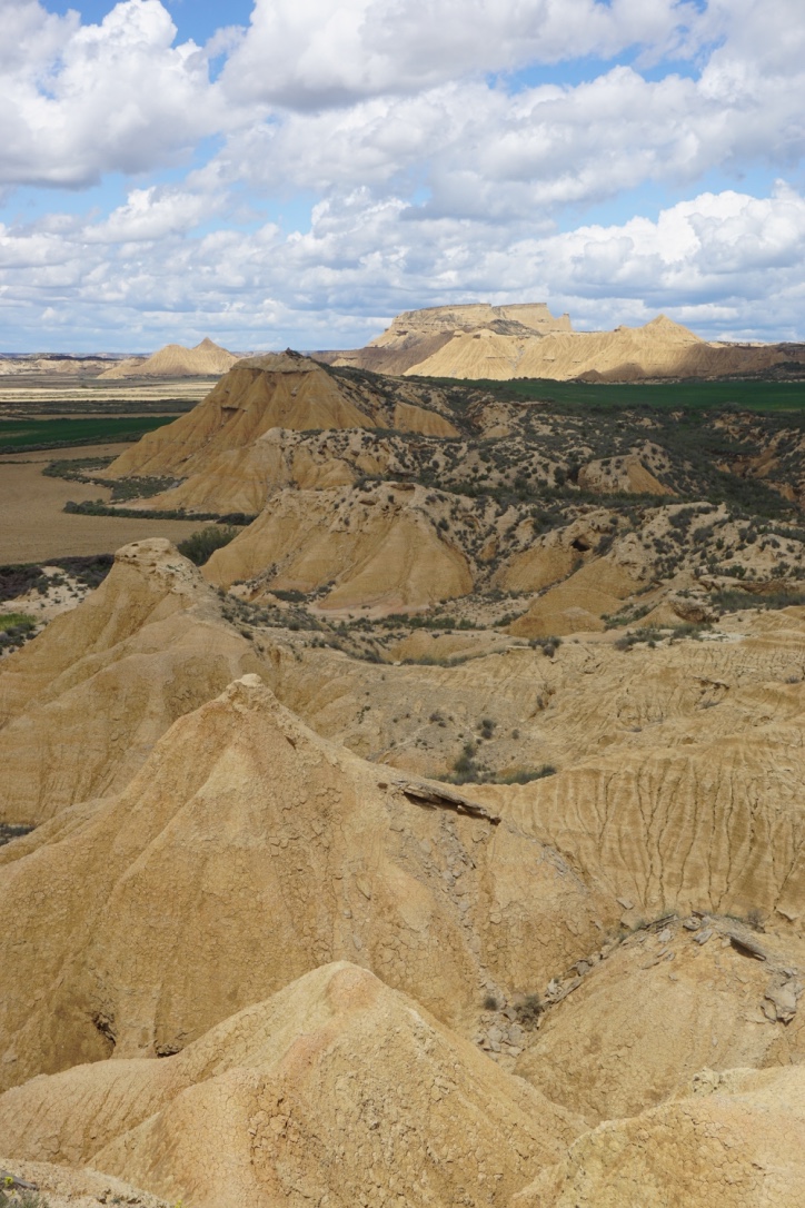 Une journée dans le désert des Bardenas