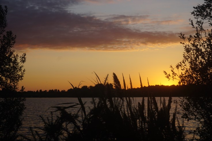 Lac d'Arjuzanx dans les Landes