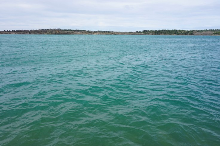 Lac d'Arjuzanx dans les Landes