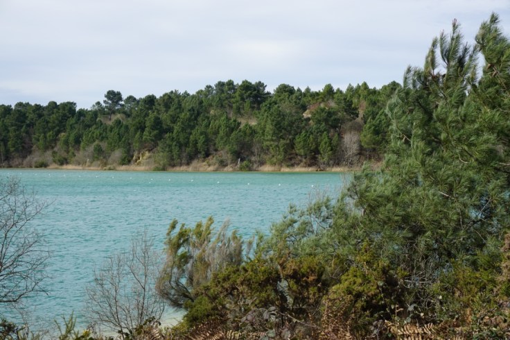 Lac d'Arjuzanx dans les Landes
