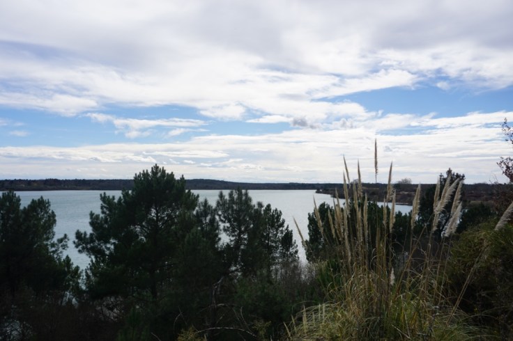 Lac d'Arjuzanx dans les Landes
