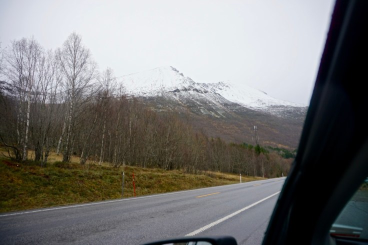 Conduire en Norvège