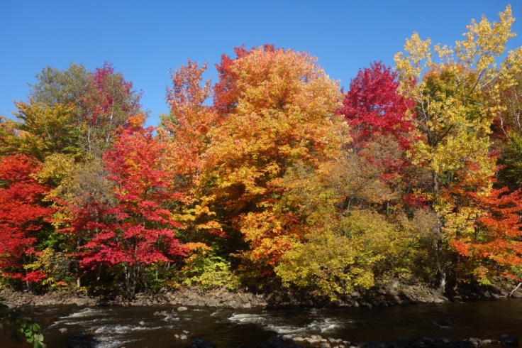 L'été indien au Québec