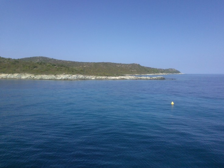 thumb_IMG_20140904_112404_1024