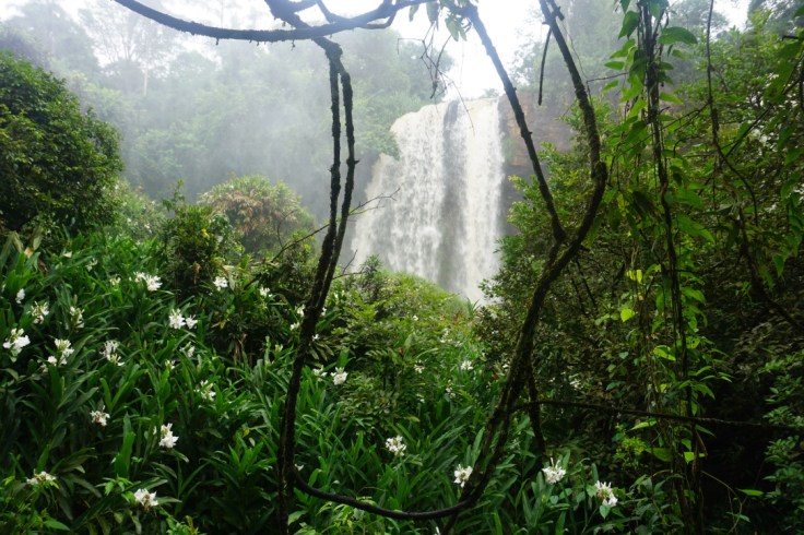 Aller aux chutes d'Iguaçu depuis le Paraguay