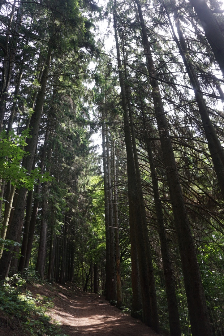 Voyage en Slovaquie : Banská Štiavnica