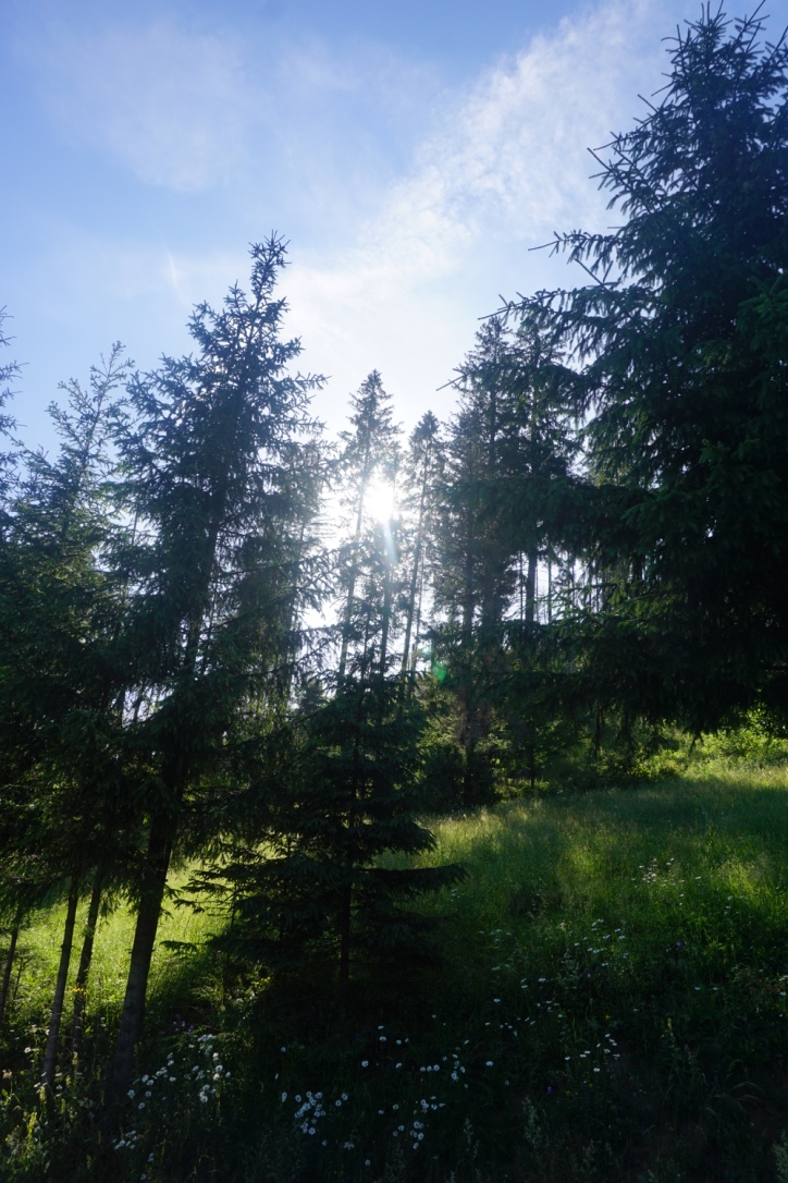 Voyager en Slovaquie : les Hautes Tatras