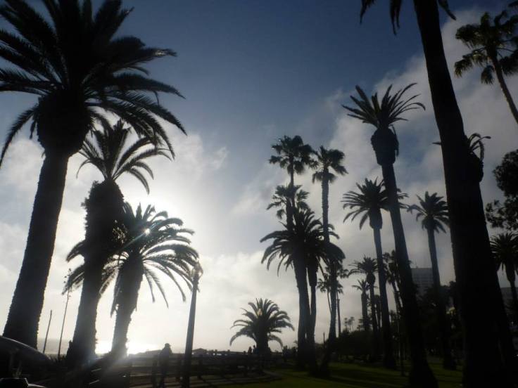 947234_10200992004109695_1833472723_n