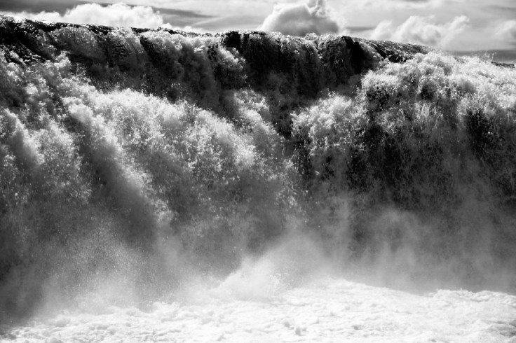 thumb_thumb_DSC03463_1024_1024