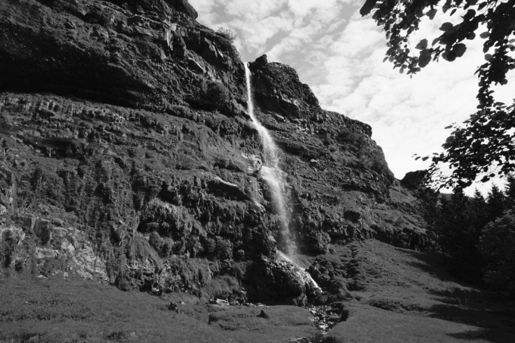 thumb_thumb_DSC03949_1024_1024