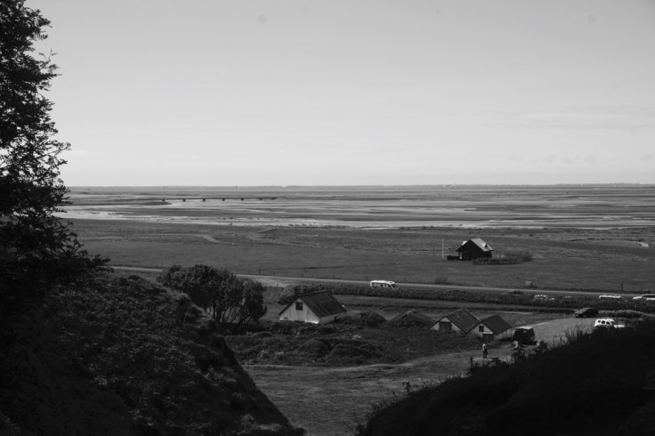 thumb_thumb_DSC04161_1024_1024