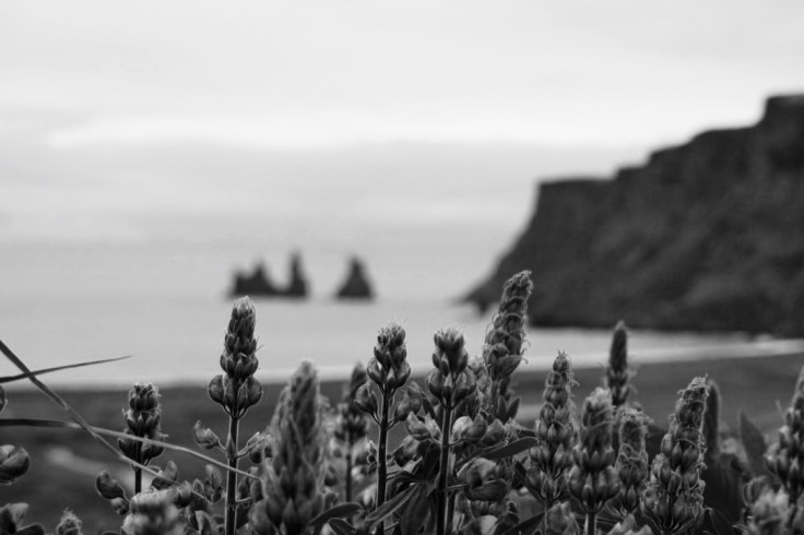 thumb_thumb_DSC04393_1024_1024