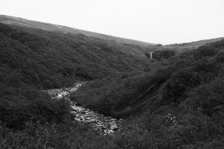 thumb_thumb_DSC04573_1024_1024