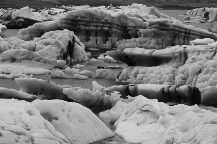 thumb_thumb_DSC04931_1024_1024