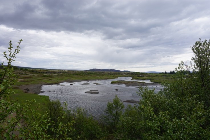 thumb_thumb_DSC03644_1024_1024