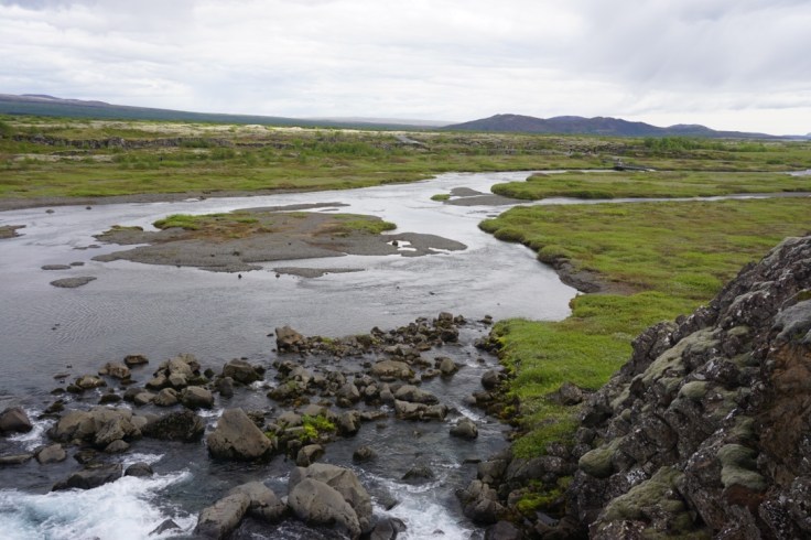 thumb_thumb_DSC03648_1024_1024