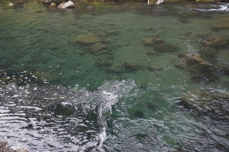 thumb_thumb_DSC03649_1024_1024