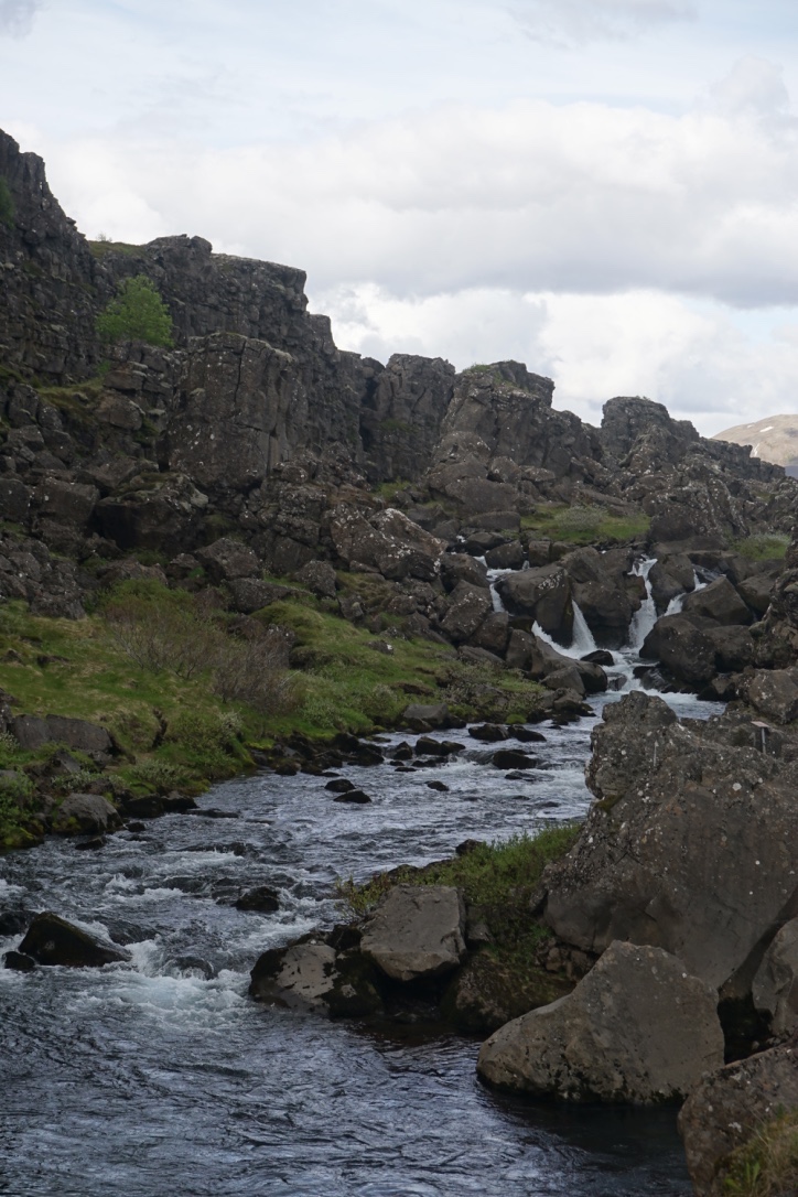 thumb_thumb_DSC03655_1024_1024