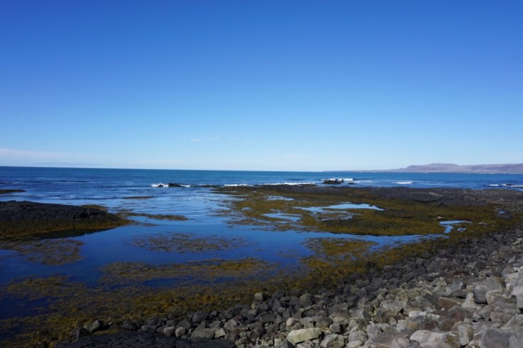 thumb_thumb_DSC03743_1024_1024