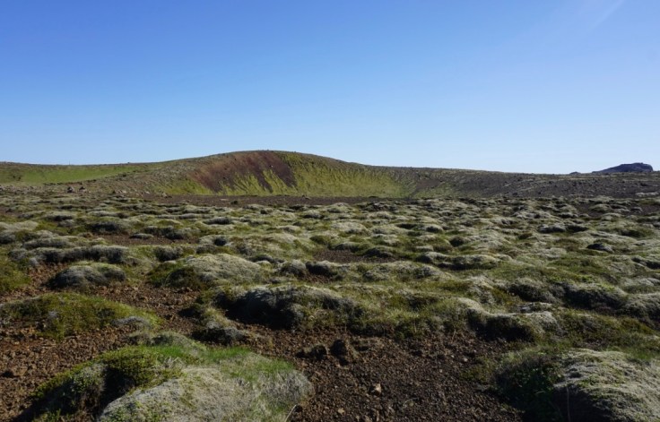 thumb_thumb_DSC03831_1024_1024