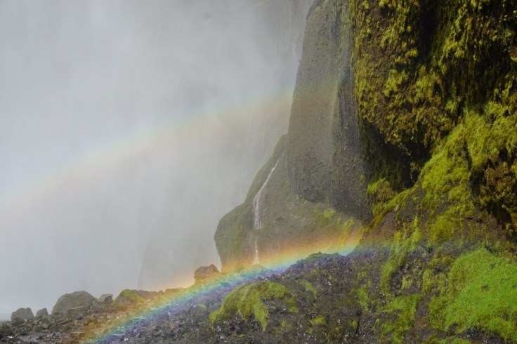 thumb_thumb_DSC04264_1024_1024