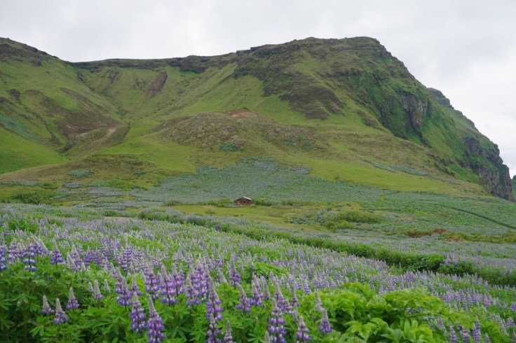 thumb_thumb_DSC04397_1024_1024